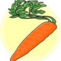 carrot