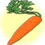 carrot