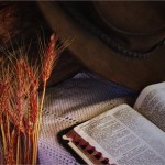 Bible&grain Read the Bible
